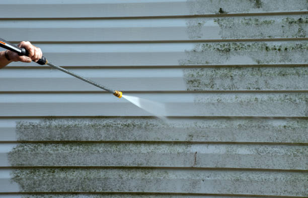 Best Gutter Cleaning and Brightening in Floydada, TX